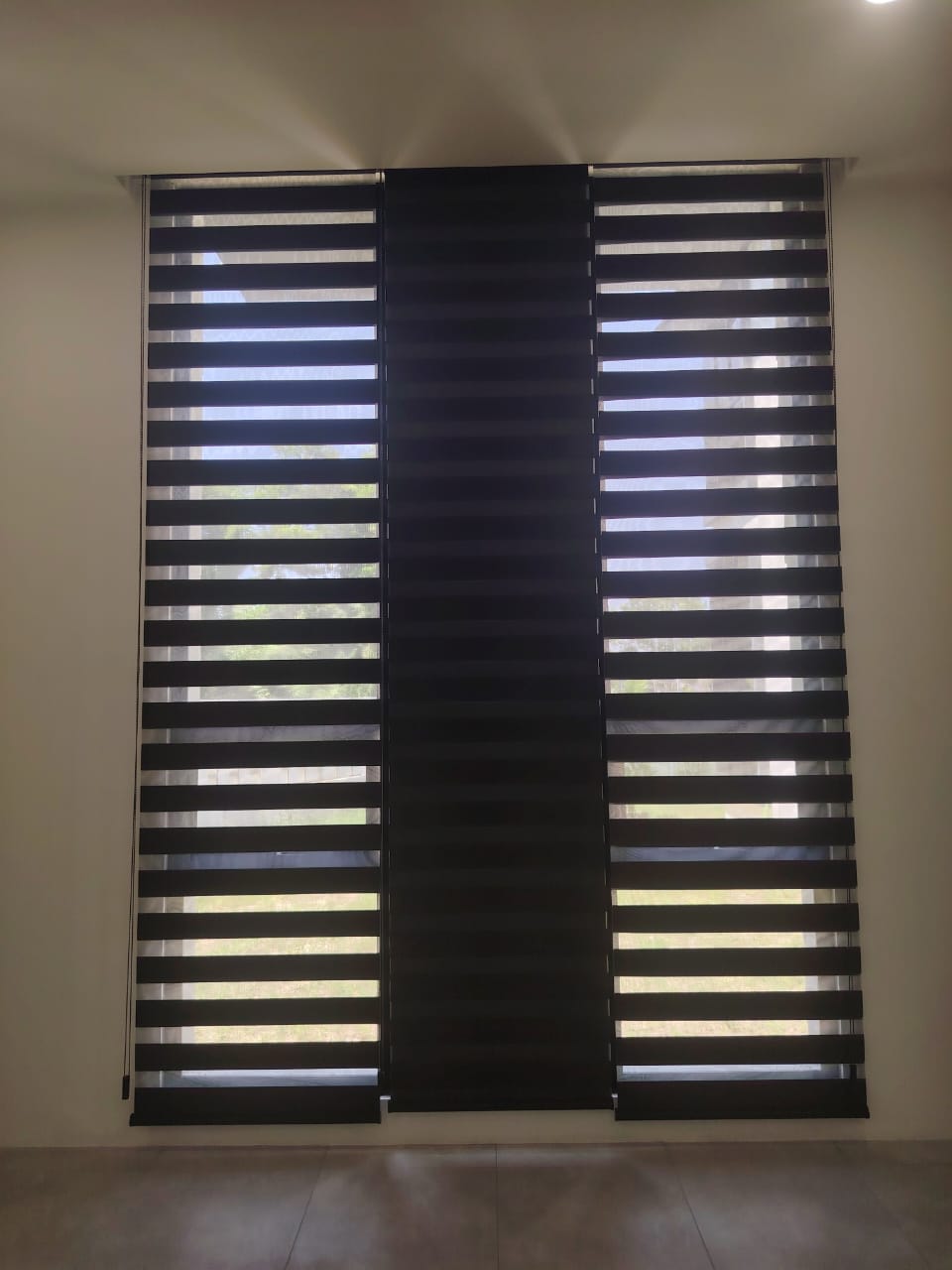 ZEBRA BLINDS